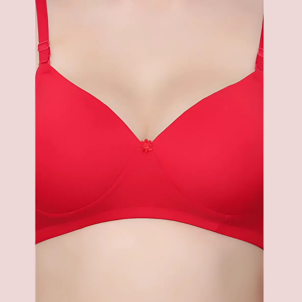 Havde Non-Wired Padded Bra 3 Pack — Gentle Lift, Wire-Free Comfort